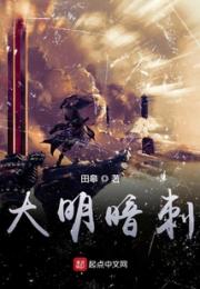 大明暗刺小说阅读