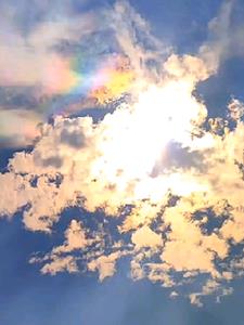 世姐姐的后半生(言解云)阅读