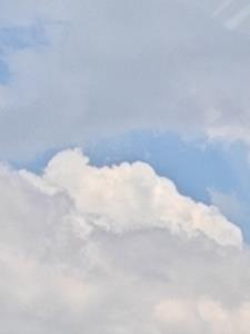 落水后，她丢了魂后续+番外