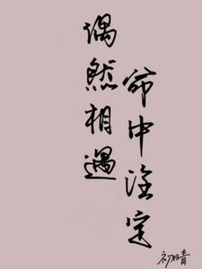 偶然相遇注定相爱后续+番外