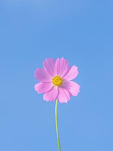 时代强音：奋进与智慧的交响+后续