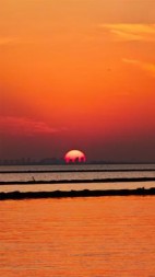 犟人公公与时代+后续