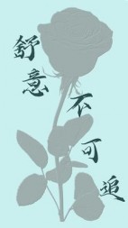 舒意不可追(有有和多多)阅读