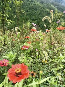 同学回忆录后续+番外