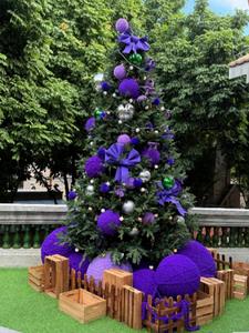 谈一场限定恋爱+后续