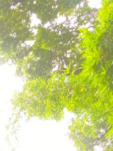 漫漫已没有感觉(吉财辣)阅读