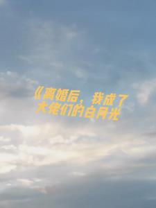 离婚后，我成了大佬们的白月光后续+番外