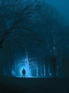 一双绣花鞋(轻冥)阅读