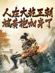 人在大乾王朝被黄袍加身了李新