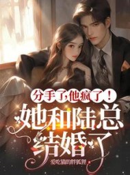 分手了,他疯了!她和陆总结婚了阅读