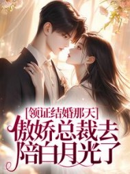 领证结婚那天,傲娇总裁去陪白月光了