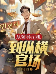 从领导司机,到纵横官场阅读