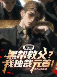 军阀：黑帮教父？我独裁元首
