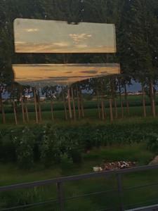 被京圈太子爷宠着是什么感觉+后续