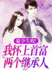 避孕失败!我怀上首富两个继承人