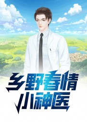 乡野春情小神医阅读