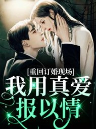 主角是沐宛况野的