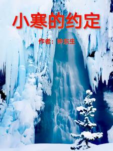 小寒的约定+后续