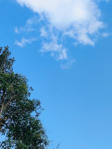 一觉醒来发现舔狗系统跑路了+后续