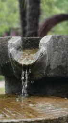 打井工？这个男人有妻有妾+后续