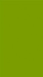 妈妈五十五岁生了个儿子(雪域妖人)阅读