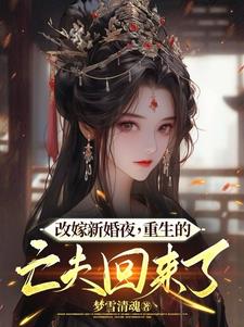 改嫁新婚夜，重生的亡夫回来了阅读