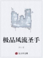 极品风流圣手叶小龙阅读