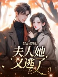 主角是江柒茗贺政屿的