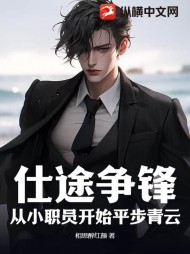 仕途争锋:从小职员开始平步青云完整版