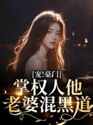 宠!豪门掌权人他老婆混黑道阅读