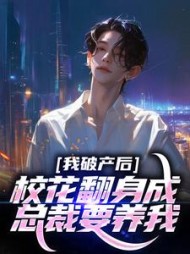 主角是陈述苏晴晚的