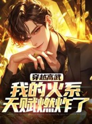 穿越高武我的火系天赋燃炸了陈轩
