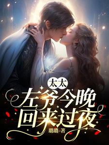 太太,左爷今晚回来过夜阅读
