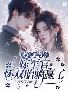 被闺蜜抢亲，嫁军官怀双胎躺赢了阅读