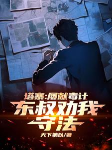 塔寨：屡献毒计，东叔劝我守法