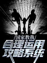 国家教我合理运用攻略系统元初