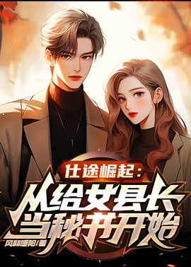 仕途崛起：女县长邀我当秘书小说阅读
