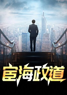 宦海政道小说阅读
