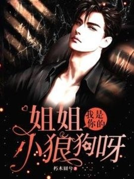 姐姐，我是你的小狼狗呀小说阅读