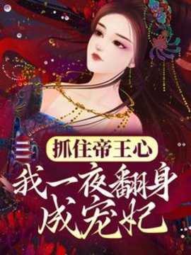 沈芙沈清如小说阅读