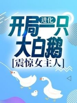 重生大白鹅小说阅读