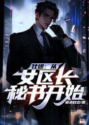 仕途:从女区长秘书开始秦峰小说阅读