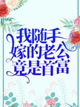 我随手嫁的老公竟是首富？小说阅读
