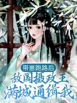 带崽跑路后，敌国摄政王满城通缉我小说阅读