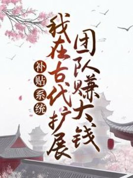 补贴系统：我在古代扩展团队赚大钱小说阅读