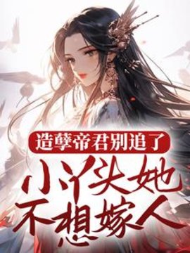 造孽帝君别追了，小丫头她不想嫁人小说阅读