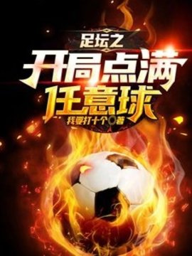 足坛之开局点满任意球小说阅读