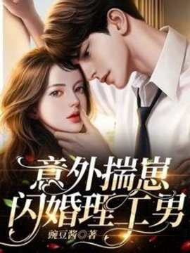 意外揣崽，闪婚理工男小说阅读