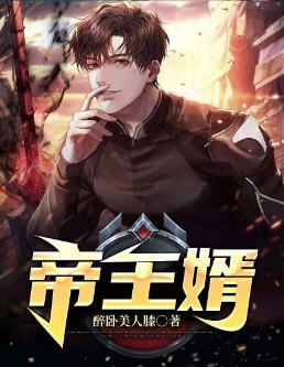 帝王婿小说阅读
