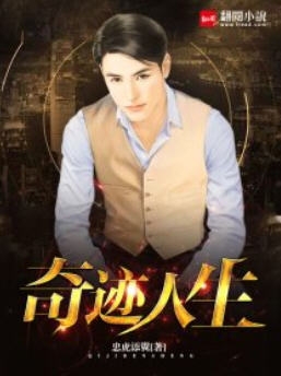 奇迹人生小说阅读